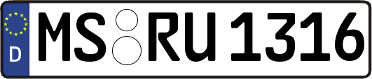 MS-RU1316