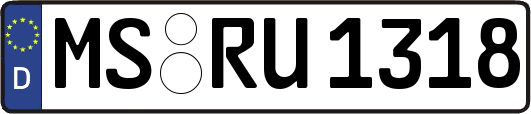 MS-RU1318