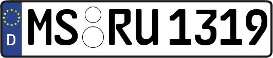 MS-RU1319