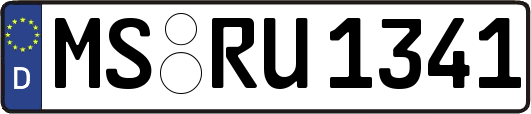 MS-RU1341