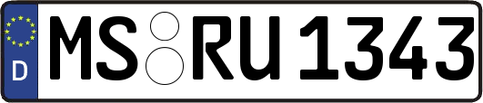 MS-RU1343