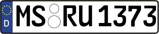 MS-RU1373