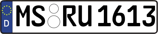 MS-RU1613