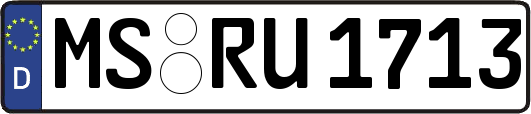 MS-RU1713