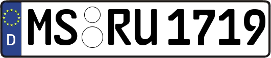 MS-RU1719