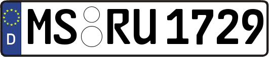 MS-RU1729