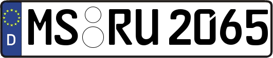 MS-RU2065