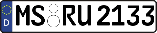 MS-RU2133