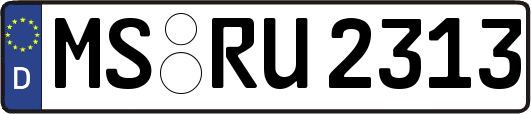 MS-RU2313
