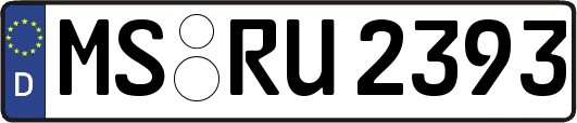 MS-RU2393