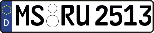MS-RU2513