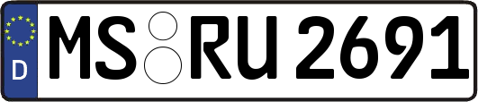 MS-RU2691