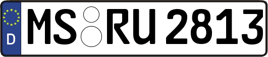 MS-RU2813