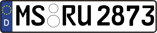MS-RU2873