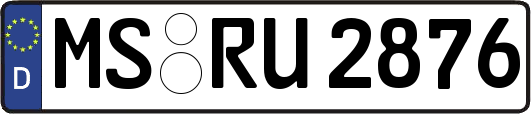 MS-RU2876