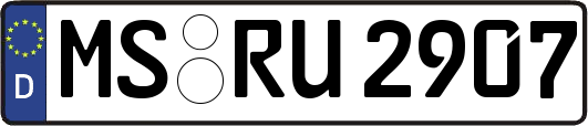 MS-RU2907
