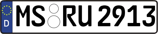 MS-RU2913