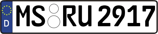 MS-RU2917