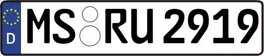 MS-RU2919