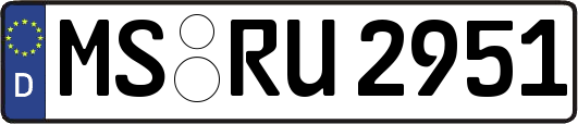 MS-RU2951
