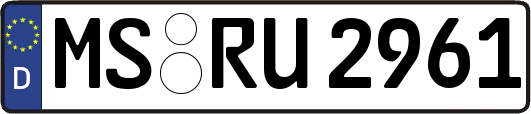 MS-RU2961