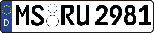MS-RU2981