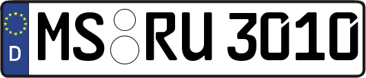 MS-RU3010
