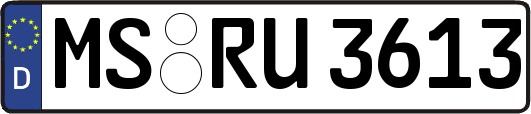 MS-RU3613