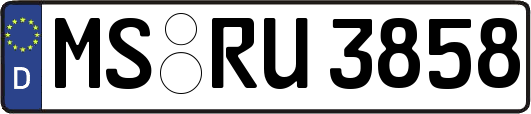 MS-RU3858