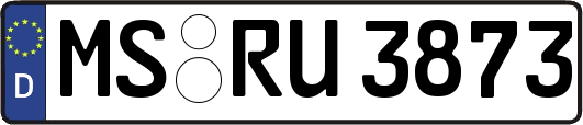 MS-RU3873