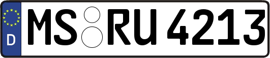 MS-RU4213