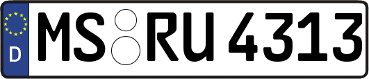 MS-RU4313