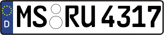 MS-RU4317