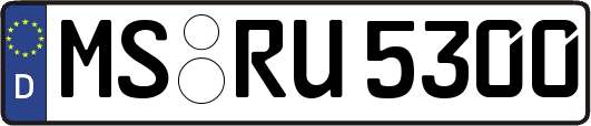 MS-RU5300