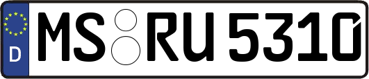 MS-RU5310
