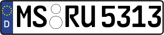 MS-RU5313
