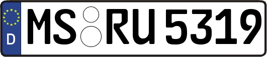 MS-RU5319