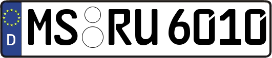 MS-RU6010