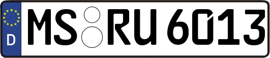 MS-RU6013
