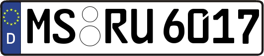 MS-RU6017
