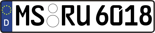 MS-RU6018