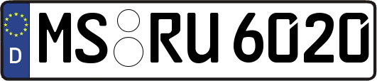 MS-RU6020