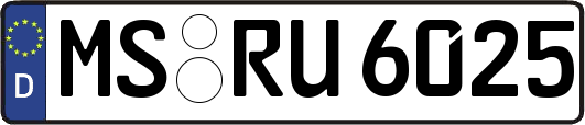 MS-RU6025