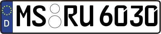 MS-RU6030