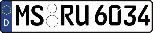 MS-RU6034