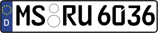 MS-RU6036