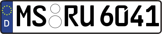 MS-RU6041
