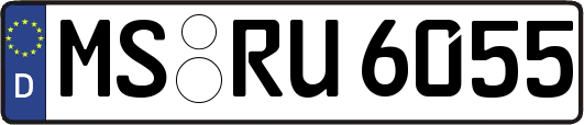 MS-RU6055