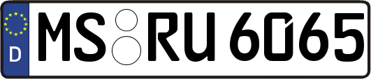 MS-RU6065