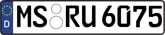 MS-RU6075
